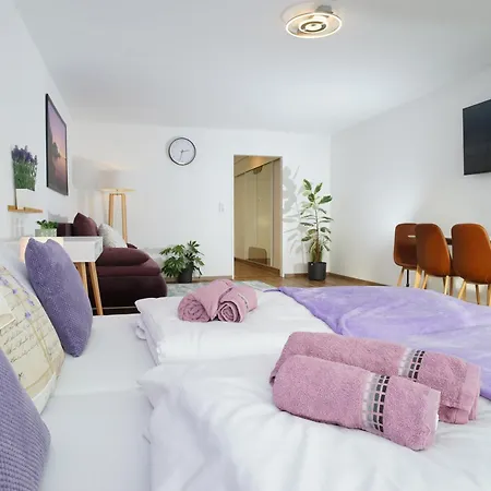 Relax-violet Mit Pool Und Sauna * Scheidegg